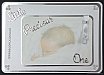 Sample Cards